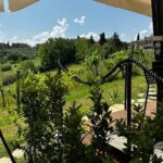 Private Tuscan Lunch with Wine & Evo oil tasting in the Vineyard - Who Will Love This Tour?