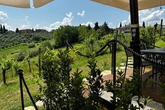 Private Tuscan Lunch with Wine & Evo oil tasting in the Vineyard - Who Will Love This Tour?