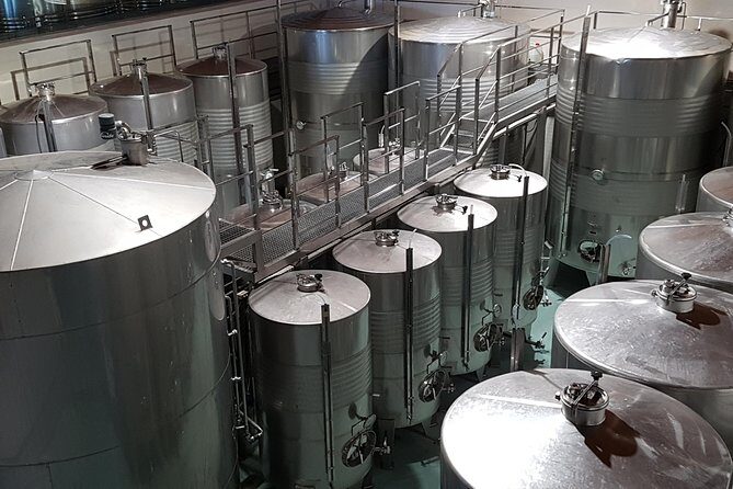 Private Txakoli Wine Tour through the Coast from San Sebastian - FAQ