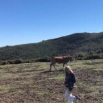 Private Typical Portuguese Picnic in Serra de Monchique - Final Thoughts