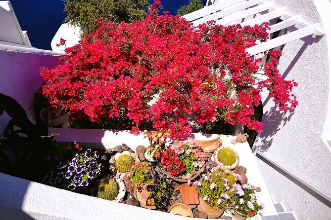 Private Unseen Authentic Santorini Half Day Shore Excursion - Authenticity and Value