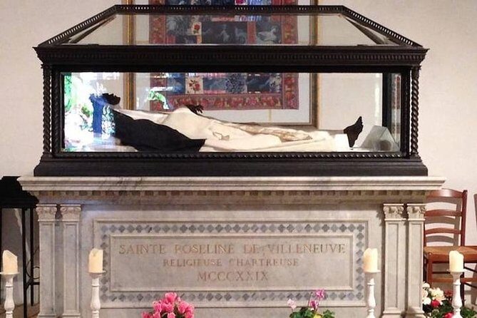 Private Vineyard Tour of Provence from Nice - Practical Details and What You Should Know