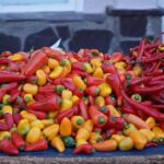 Private Walking Tour- Bites of History and Gastronomy - Why This Tour Works for You