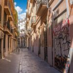 Private Walking Tour in Valencia with Guide - Practical Insights and Value