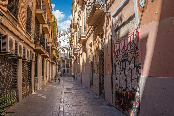 Private Walking Tour in Valencia with Guide - Practical Insights and Value