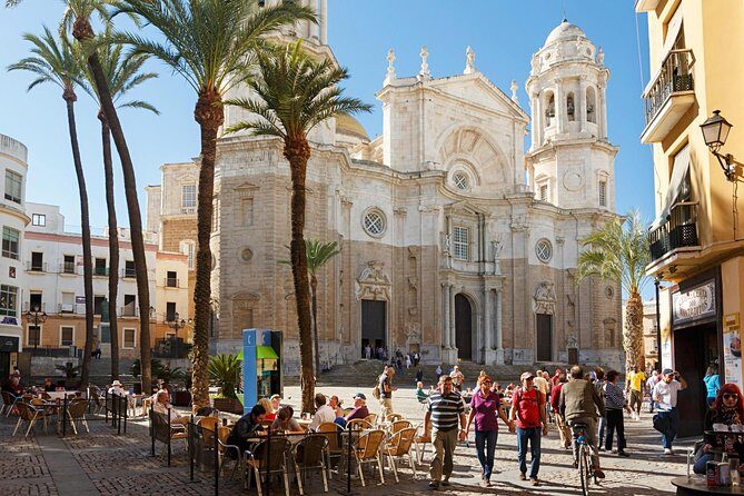 Private Walking Tour of Cadiz: includes Tavira Tower - Authentic Feedback and Insights