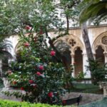 Private Walking Tour of Dubrovnik and its Ancient Walls - Is This Tour for You?