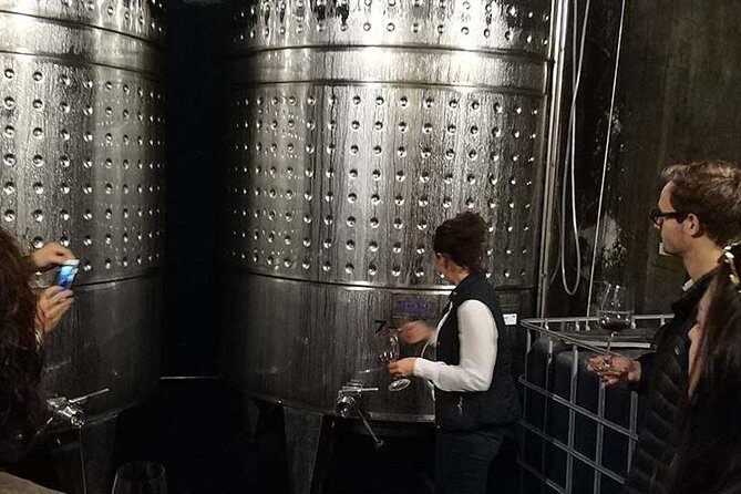 Private Wine & Cava Tasting Tour In Penedes with hotel pick up - Why You Should Consider This Tour