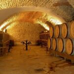 Private wine & cheese tour to Sancerre vineyards from Paris - What We Love About This Tour