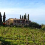 Private Wine & Evo Oil Tasting with Saffron Meal - The Bottom Line