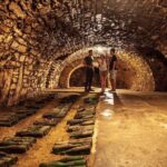 Private wine, food & heritage tour from Prague to Bohemia - Practical Details