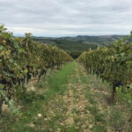 Private wine tour in Chianti Classico with sommelier (2 wineries) - What’s Included and What’s Not
