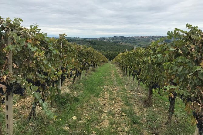 Private wine tour in Chianti Classico with sommelier (2 wineries) - What’s Included and What’s Not