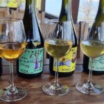 Private Wine Tour In Kakheti Region with 7 Wines and Lunch - Final Thoughts: Who Will Love This?