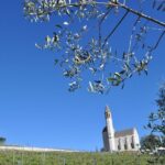 Private Wine Tour of the vineyards on the French Riviera - A Day in the Vineyards: What to Expect