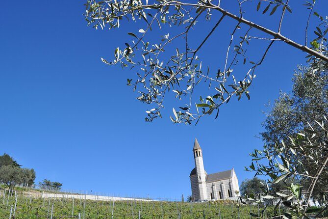 Private Wine Tour of the vineyards on the French Riviera - A Day in the Vineyards: What to Expect