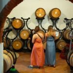 Private wine tour on the magical hills of Lucca (2 wineries) - What the Experience Looks Like