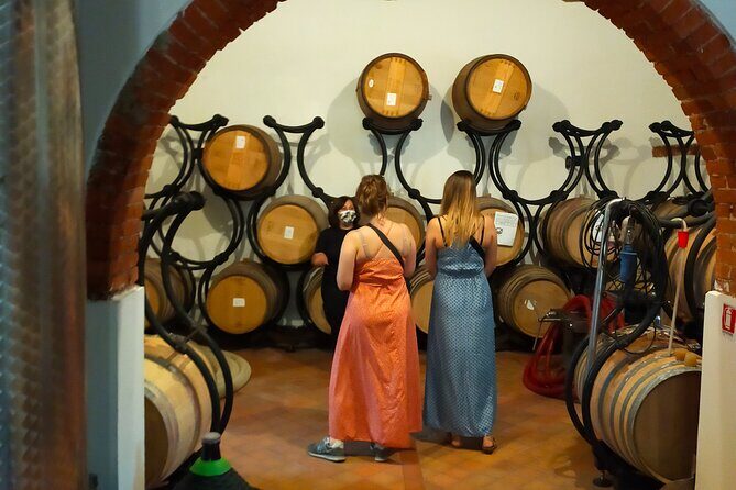 Private wine tour on the magical hills of Lucca (2 wineries) - What the Experience Looks Like