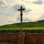 Private Wine Tour to Burgundy Region from Paris - Who This Tour Is Perfect For