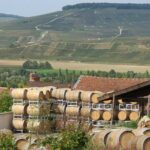 Private wine tour to Champagne region from Paris - Final Thoughts: Is It Worth It?