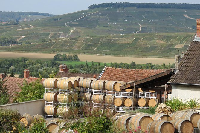 Private wine tour to Champagne region from Paris - Final Thoughts: Is It Worth It?