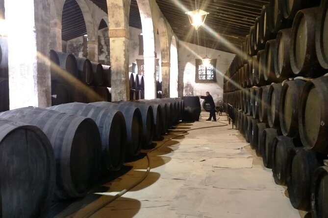 Private wine tour to Jerez de la Frontera - Why This Tour Offers Great Value