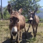 PRIVATE Wine Tour to Konavle country side - Final Thoughts