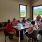 Private wine tour with sommelier - the magical Bolgheri (2 wineries) - Who Will Love This Tour?