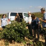Private Wine Tour with Wine Tasting and Full Lunch (day trip) - Analyzing Value and Price