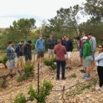 Private Wineries Tour from Valencia (morning tour) - Who Will Love This Tour?