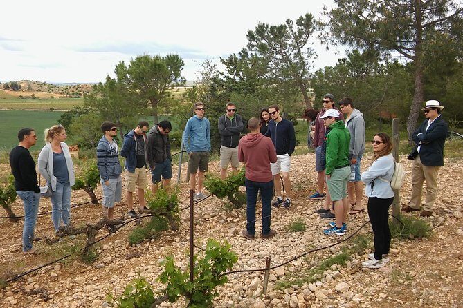 Private Wineries Tour from Valencia (morning tour) - Who Will Love This Tour?