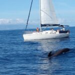Private Yacht Tour With Whale and Dolphin Watching 33 Foot Boat - The Value: What Makes This Tour Stand Out?
