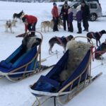 Private Zakopane and Thermal Pools Tour from Krakow - Authentic Experiences that Shine