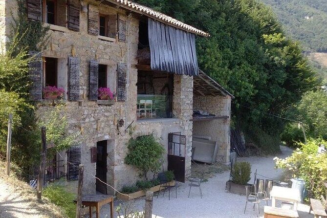 Prosecco experience. Wine tasting. Full day from Treviso - The Sum Up