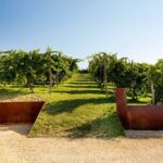 Prosecco tasting, appetizers and tour of the cellar and vineyards - FAQ