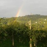 Prosecco Wine Tour. Full day from Venice - Price and Value