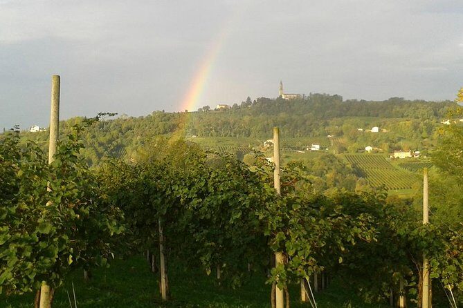 Prosecco Wine Tour. Full day from Venice - Price and Value