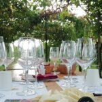 Prosecco - Wine tour & tasting - Full day in the Prosecco region - Authentic Experiences and Honest Insights from Reviews