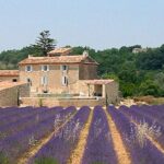 Provence and Lavender - private & Guided Full Day Tour - An In-Depth Look at the Provence and Lavender Tour