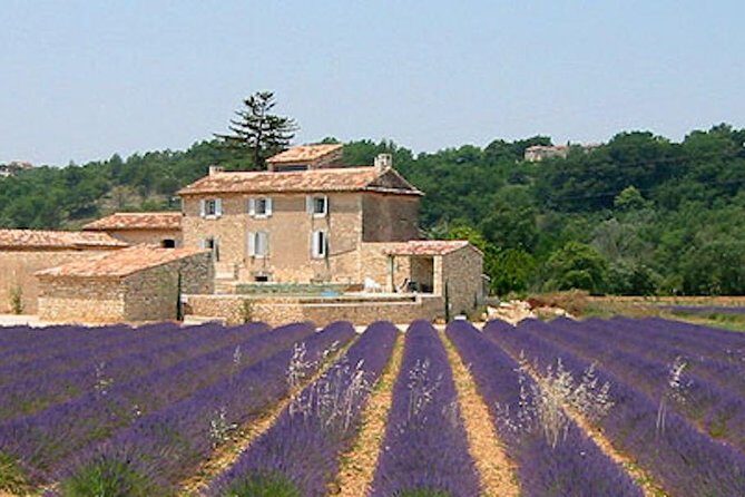 Provence and Lavender - private & Guided Full Day Tour - An In-Depth Look at the Provence and Lavender Tour