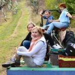 Provence Olive Harvest - Final Thoughts