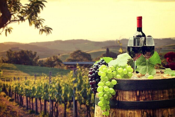 Provence Organic Wine Tasting Half Day Tour from Nice - Authentic Experiences: What Do Guests Love?