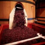 Provence Private Full Day Wine Tour with Wine Tasting - Who Should Book This Tour?