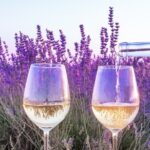 Provence small group half-day wine tour from Aix - Visiting the Wineries: What to Expect