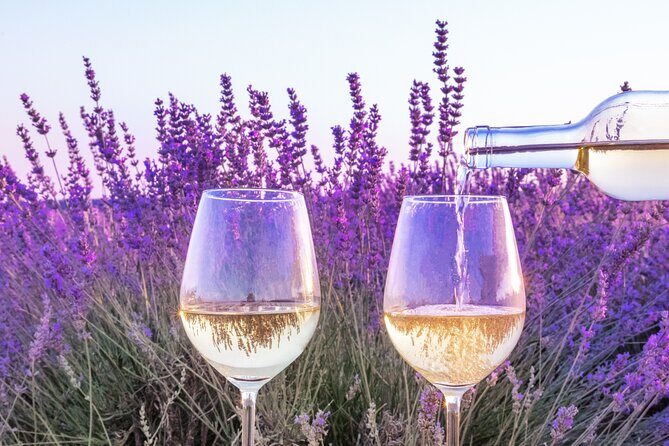 Provence small group half-day wine tour from Aix - Visiting the Wineries: What to Expect