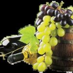 provence wine tasting - Final Thoughts