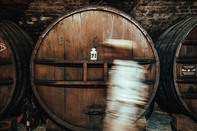 Provence Wine Tour - Small Group Tour from Cannes - Who Should Consider This Tour?