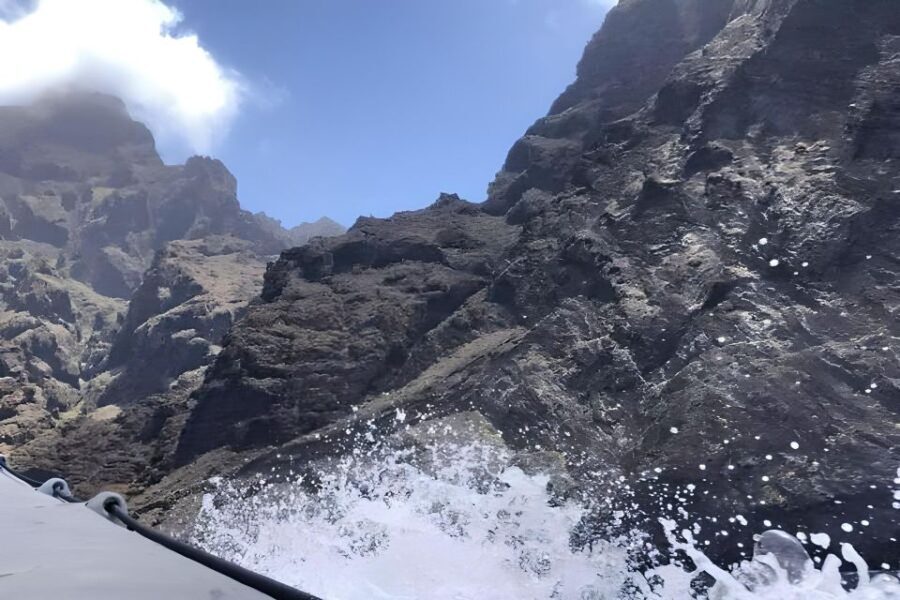 Puerto Colon: Dolphin and Whale Watching Speedboat Tour - What to Expect During the Tour