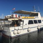 Pula: Dolphin Watching Sunset Cruise with Dinner & Drinks - A Closer Look at the Tour Experience