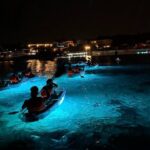 Pula: Sunset/Night-time Illuminated Transparent Kayak Tour - A Closer Look at the Tour Experience